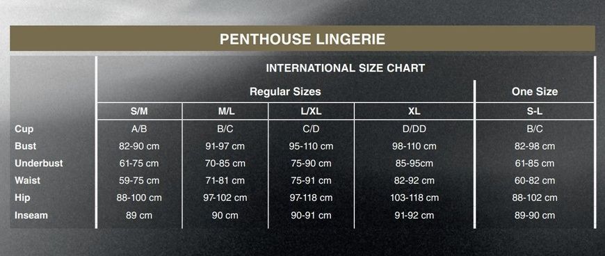 Боди Penthouse Midnight Visit XL Black, глубокая горловина, вырез на спине, рукава SO6434 фото
